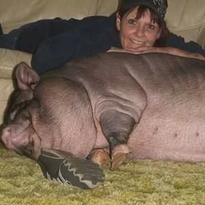 Meet your Posher, Maria